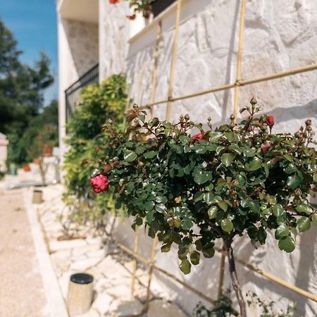 Hedon-Stone Starigrad Paklenica Exterior foto