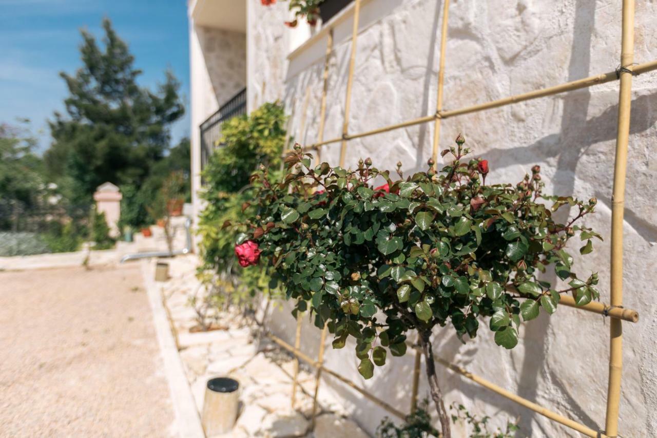 Hedon-Stone Starigrad Paklenica Exterior foto